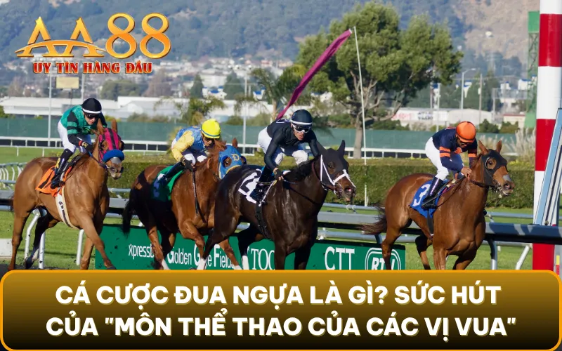Cá cược đua ngựa là gì? Sức hút của "môn thể thao của các vị vua"