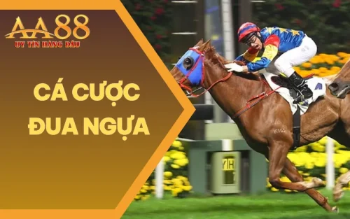 Cá Cược Đua Ngựa - Hướng Dẫn Cho Người Mới Bắt Đầu 2025