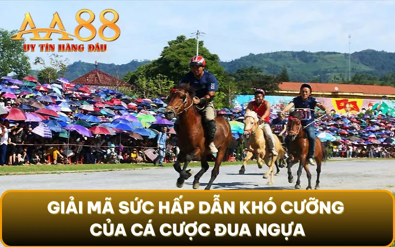Giải mã sức hấp dẫn khó cưỡng của cá cược đua ngựa