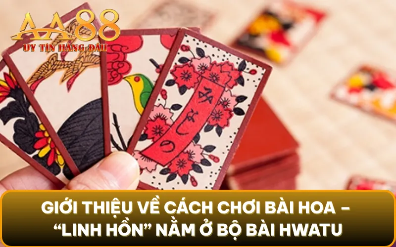 Giới thiệu về cách chơi bài hoa – “Linh hồn” nằm ở bộ bài Hwatu