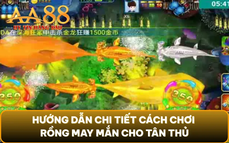 Hướng dẫn chi tiết cách chơi Rồng May Mắn cho tân thủ