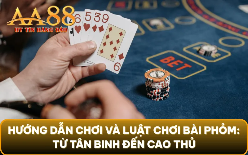 Hướng dẫn chơi và luật chơi bài phỏm: Từ tân binh đến cao thủ