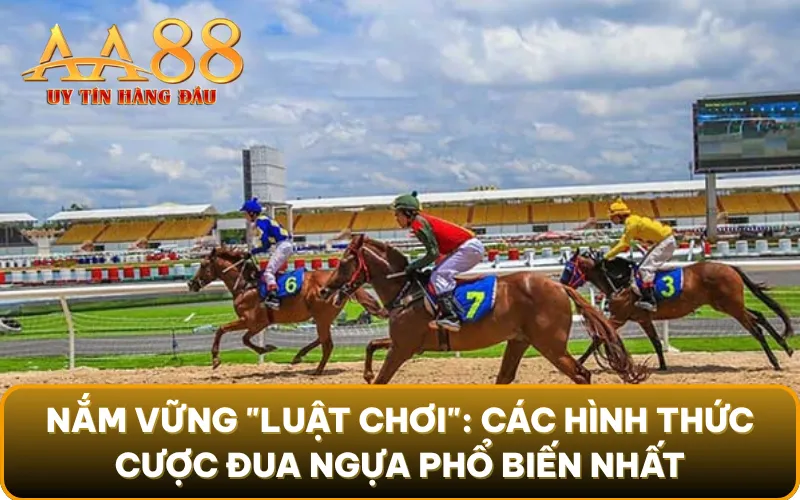 Nắm vững "luật chơi": Các hình thức cược đua ngựa phổ biến nhất