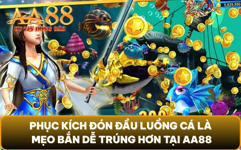 Phục kích đón đầu luồng cá là mẹo bắn dễ trúng hơn tại AA88